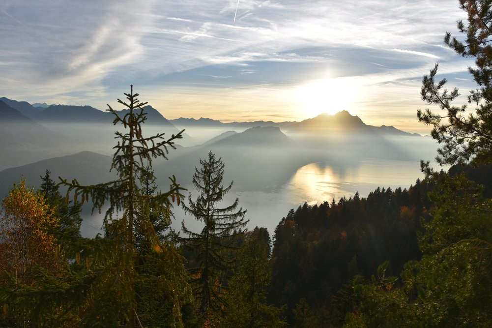 Rigi Tours