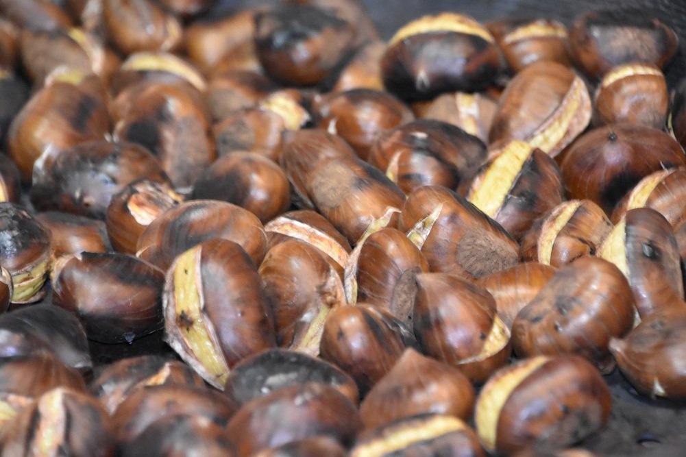 Chesnuts tours